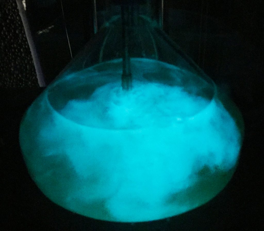 In a separate room a stir flask with Photobacterium phosphoreum produced a beautiful glow